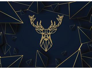 Tapeta na stenu Deer (3D tapeta na stenu )