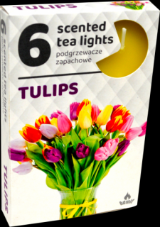 ČAJOVÉ SVIEČKY Tulipány (Tulips) – 6ks