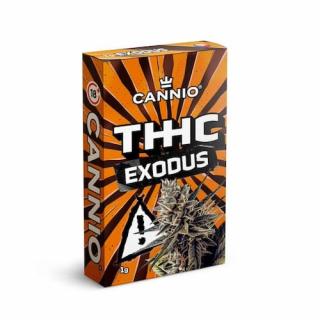 CANNIO THHC kvety EXODUS 1g