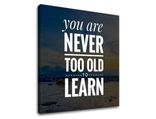 Motivačný obraz na stenu You are never too old (obrazy s textom)