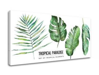 Obraz na stenu s textom Tropical paradise (moderné obrazy s textom)