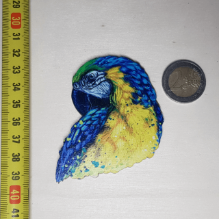 Čarovný papagáj - Drevená magnetka - CoolArts Výška magnetky: 7 cm