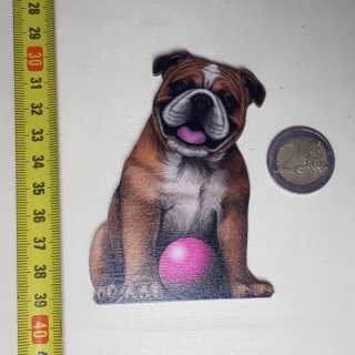Hravý pes BullDog - Drevená magnetka - CoolArts Výška magnetky: 10 cm