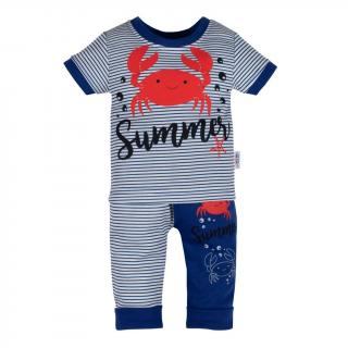 Dojčenské tričko s krátkym rukávom a tepláčky New Baby Summer 62 (3-6m)