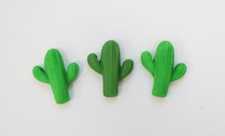 Kaktus 3ks