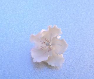 Kvet biely