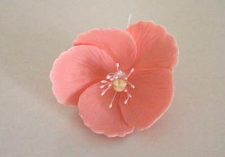 Kvet broskyňový