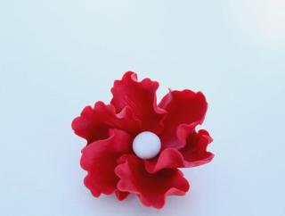Kvet červený veľký