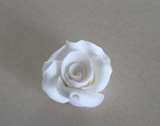 Ruža biela veľká 6cm 1ks