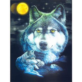 Obraz 3D Vlk (3D obraz vlka)