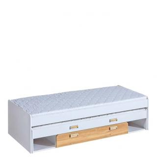 Posteľ pre dve deti LORENTO L16 Biely briliant / dub nash