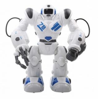 Rc robot Robohoter RTR