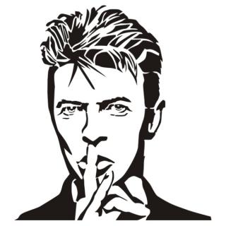 Samolepka na zeď David Bowie, nálepka na stěnu (13293)
