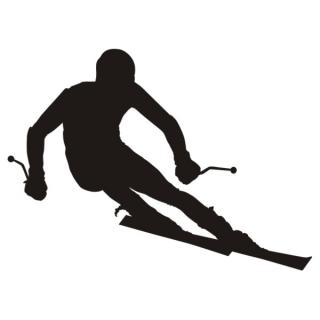 Samolepka na zeď zjazd na lyžiach, nálepka na stěnu (12921)