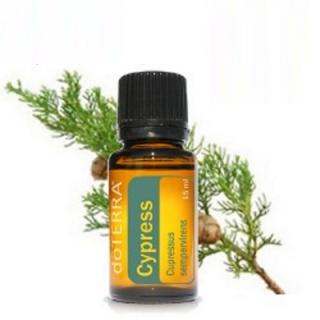 DoTerra Cypress 15 ml