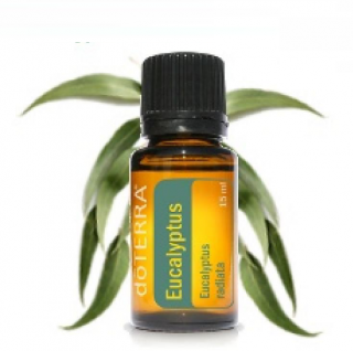 DoTerra Eucalyptus Esenciálny olej eukalyptus 15 ml