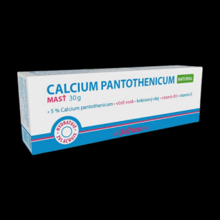Calcium Pantothenicum masť NATURAL 30 g