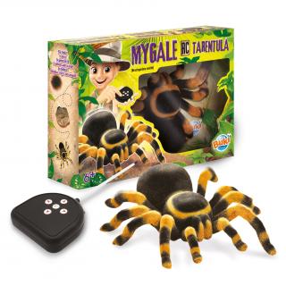 Tarantula na DO (37291)