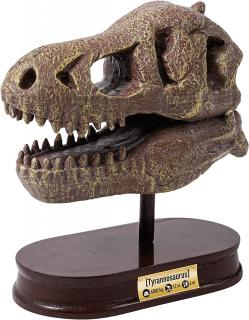 Výstavná lebka -  T-rex (2130)