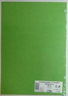 Výkresy farebné A3, 225g/50ks, zelené svetlé