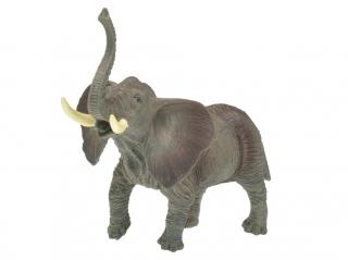 Zvieratko safari - sloník