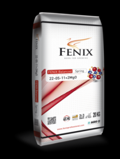 FENIX Balanced Spring 22-05-11+2MgO 20 kg