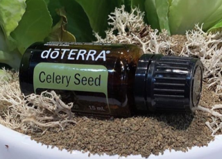 doTERRA Esenciálny olej Celery Seed 15 ml