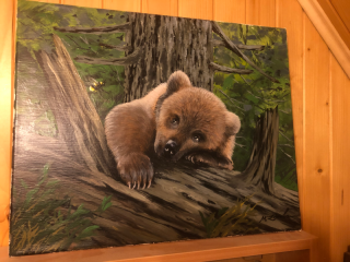Obraz Medveď (Obraz Medveď)
