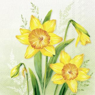 Servítky veľké Narcis 33x33 cm - IHR