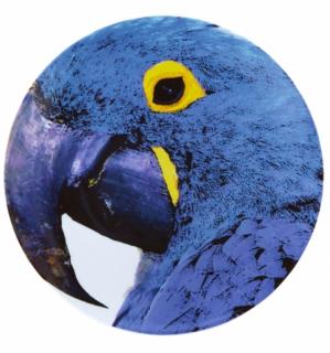 Vista Alegre - servírovací tanier Modrý papagáj  32 cm - Olhar O Brasil