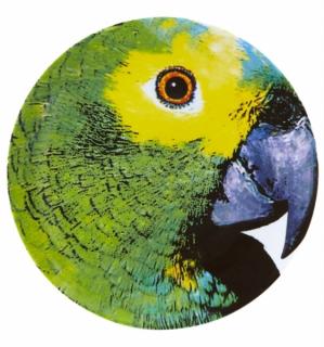 Vista Alegre - servírovací tanier Papagáj  32 cm - Olhar O Brasil