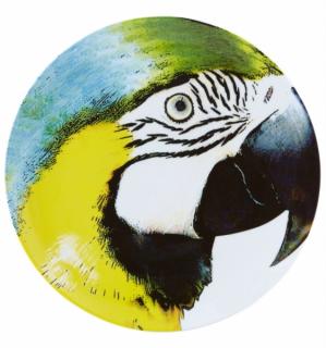 Vista Alegre - servírovací tanier Žltý papagáj  32 cm - Olhar O Brasil