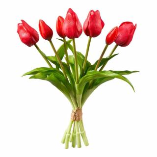 Zväzok tulipánov 7 ks, červená, 30 cm - Florissima
