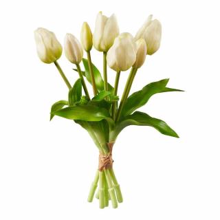 Zväzok tulipánov 7 ks, krémová, 30 cm - Florissima