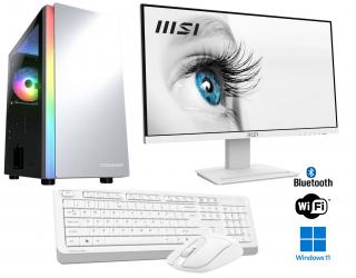 AMD Ryzen 5 8500G 6-Core,DDR5 RAM 32GB,SSD 1000GB,AMD Radeon 740M,WiFi+Bluetooth,24 LCD monitor MSI PRO,SET,WIN11 PRO