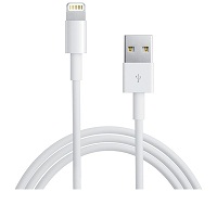 APPLE Lightning/USB Cable MD818ZM/A (APPLE Lightning/USB Cable MD818ZM/A)