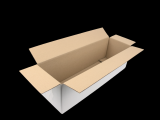 Profi Bílý klopový karton 3V 490x150x145mm 10 kusů