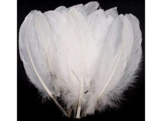 Husacie perie dĺžka 15-21 cm - biela