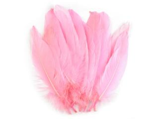 Husacie perie dĺžka 15-21 cm - bledo ružová