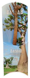 Sadenice baobabu zo Senegalu, 18 mesiacov