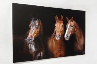 Fotoobraz 150x100 cm z vlastní fotografie, Plátno 100% bavlna: Premium Canvas 390g/m², S lakováním