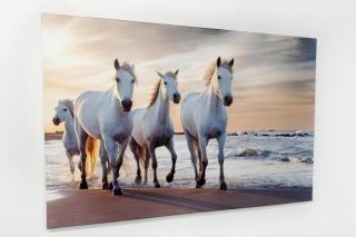 Fotoobraz 200x100 cm z vlastní fotografie, Plátno 100% polyester: 240g/m², S lakováním