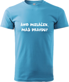 Pánske tričko Áno miláčik... (Áno miláčik,máš pravdu)