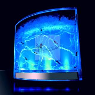 Mravčie akvárium s LED podsvietením -  antquarium (+návod)