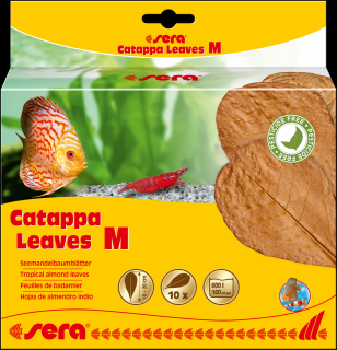 Catappa Leaves - listy mandlovníka morského 10ks M ↕ 16-20 cm (Sera listy mandlovníka morského 10ks M)
