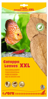Catappa Leaves - listy mandlovníka morského 10ks XXL (Sera listy mandlovníka morského 10ks XXL)
