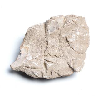 Grey mountain rock S cena za 1 kameň (Populárny aquascaping kameň S cena za 1 kameň)