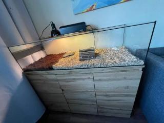 Terárium pre suchozemské korytnačky 150x48x25cm  (Otvorené terárium na mieru 150x48x25cm (5))