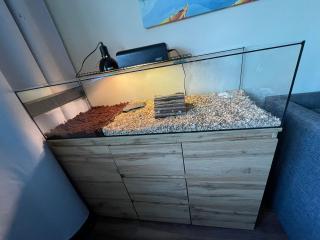 Terárium pre suchozemské korytnačky 90x45x40cm (Otvorené terárium na mieru 90x45x40cm (5))