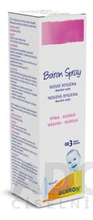 Boiron Spray izotonický nosný sprej s obsahom morskej vody 100 ml